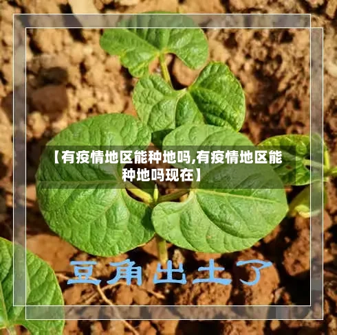 【有疫情地区能种地吗,有疫情地区能种地吗现在】-第3张图片