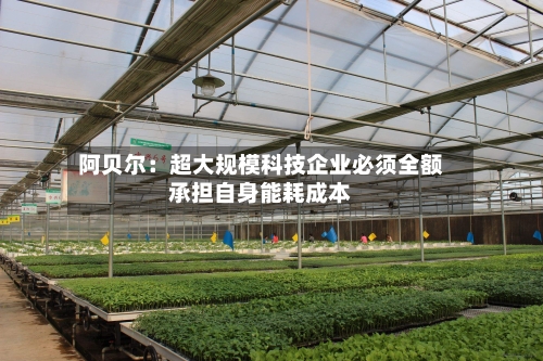 阿贝尔：超大规模科技企业必须全额承担自身能耗成本-第2张图片