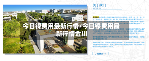今日镍费用最新行情/今日镍费用最新行情金川