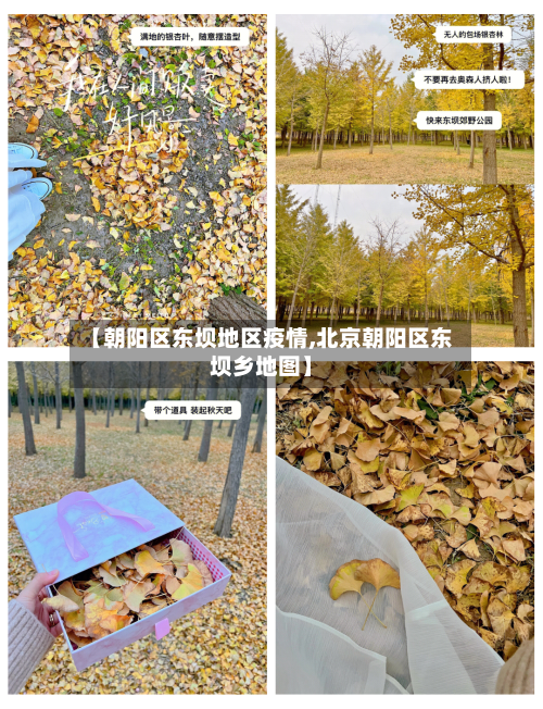 【朝阳区东坝地区疫情,北京朝阳区东坝乡地图】