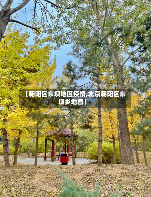 【朝阳区东坝地区疫情,北京朝阳区东坝乡地图】-第2张图片