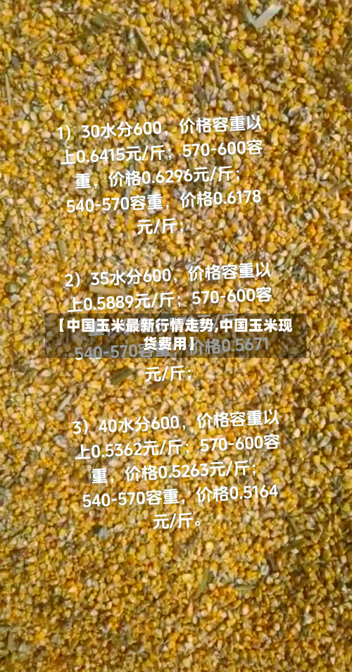 【中国玉米最新行情走势,中国玉米现货费用】-第2张图片