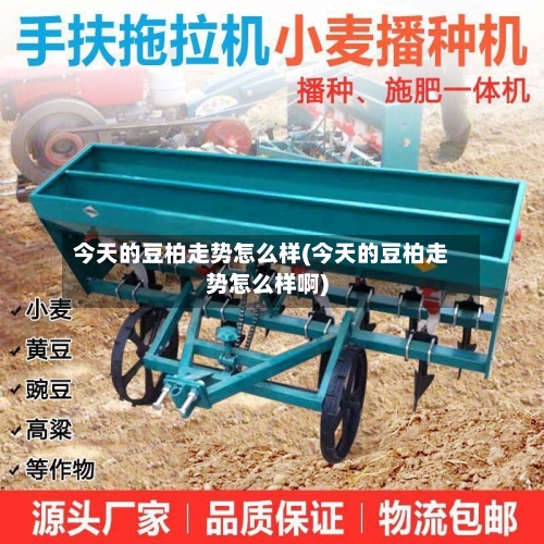 今天的豆柏走势怎么样(今天的豆柏走势怎么样啊)-第3张图片