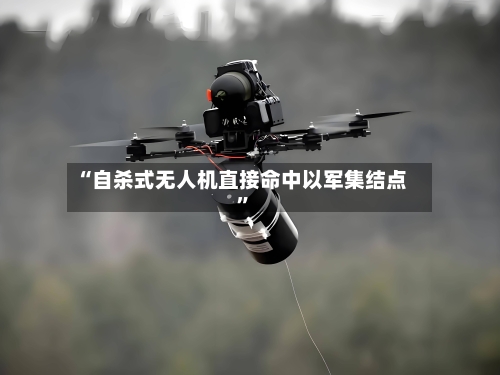 “自杀式无人机直接命中以军集结点	”-第2张图片