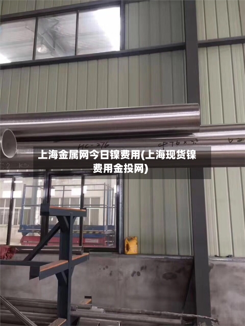 上海金属网今日镍费用(上海现货镍费用金投网)-第3张图片
