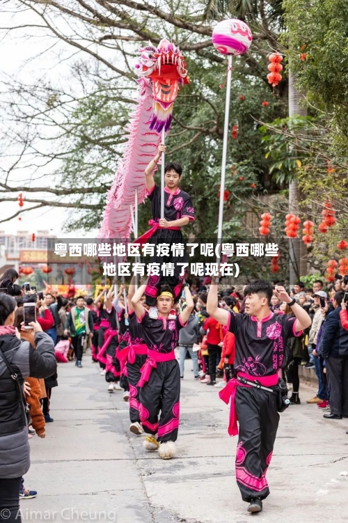 粤西哪些地区有疫情了呢(粤西哪些地区有疫情了呢现在)