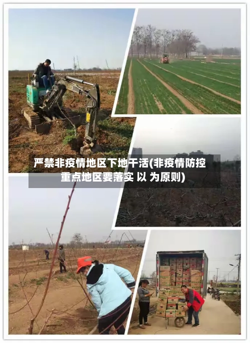 严禁非疫情地区下地干活(非疫情防控重点地区要落实 以 为原则)-第2张图片