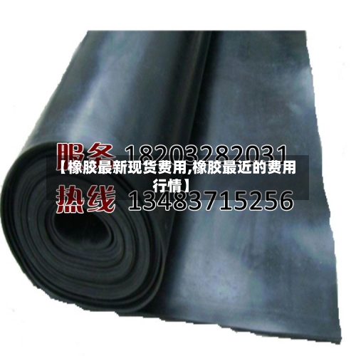 【橡胶最新现货费用,橡胶最近的费用行情】-第3张图片