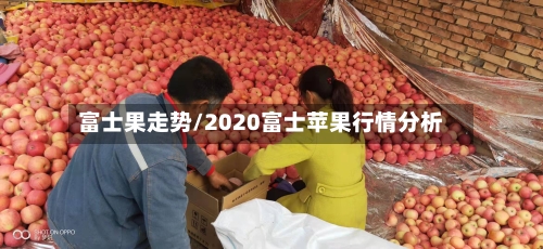 富士果走势/2020富士苹果行情分析-第2张图片