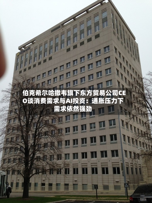 伯克希尔哈撒韦旗下东方贸易公司CEO谈消费需求与AI投资：通胀压力下需求依然强劲-第3张图片