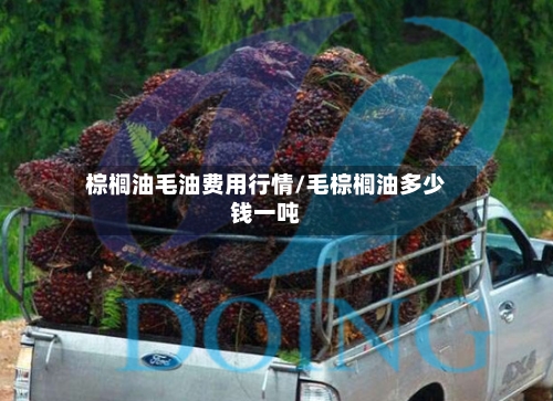 棕榈油毛油费用行情/毛棕榈油多少钱一吨