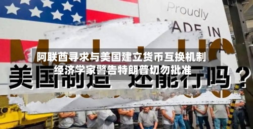 阿联酋寻求与美国建立货币互换机制 经济学家警告特朗普切勿批准-第3张图片