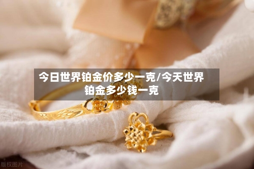 今日世界铂金价多少一克/今天世界铂金多少钱一克-第2张图片