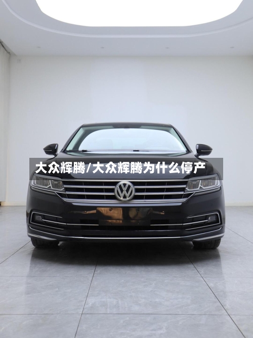 大众辉腾/大众辉腾为什么停产