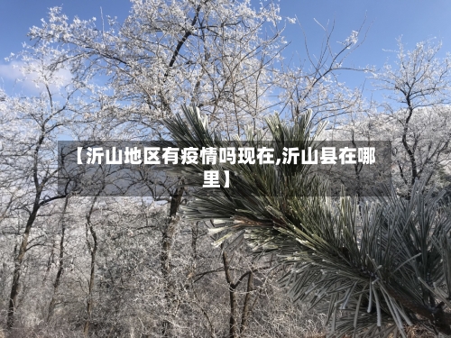 【沂山地区有疫情吗现在,沂山县在哪里】