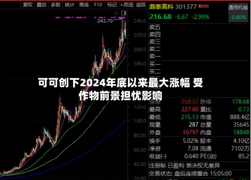 可可创下2024年底以来最大涨幅 受作物前景担忧影响-第2张图片
