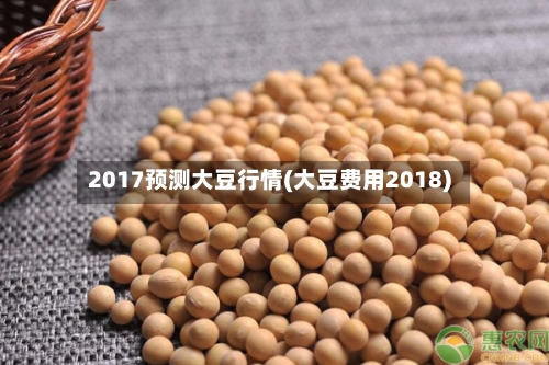 2017预测大豆行情(大豆费用2018)-第2张图片