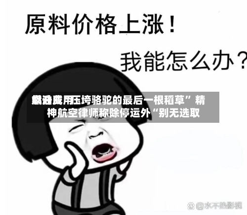 燃油费用飙升成“压垮骆驼的最后一根稻草	” 精神航空律师称除停运外“别无选取”-第3张图片