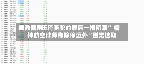 燃油费用飙升成“压垮骆驼的最后一根稻草” 精神航空律师称除停运外“别无选取”-第2张图片