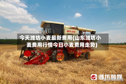 今天潍坊小麦最新费用(山东潍坊小麦费用行情今日小麦费用走势)