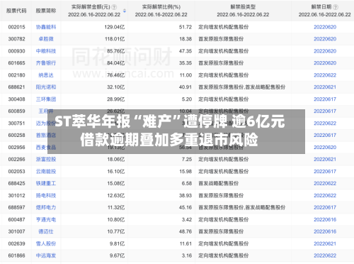 ST萃华年报“难产”遭停牌 逾6亿元借款逾期叠加多重退市风险-第2张图片