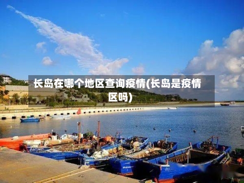 长岛在哪个地区查询疫情(长岛是疫情区吗)-第2张图片