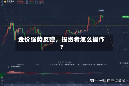 金价强势反弹，投资者怎么操作？-第2张图片