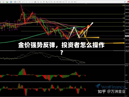 金价强势反弹，投资者怎么操作？-第3张图片