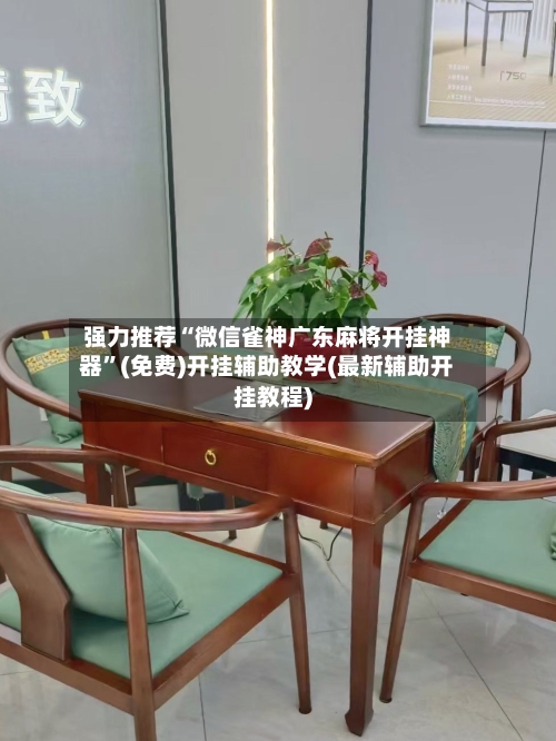 强力推荐“微信雀神广东麻将开挂神器”(免费)开挂辅助教学(最新辅助开挂教程)-第2张图片