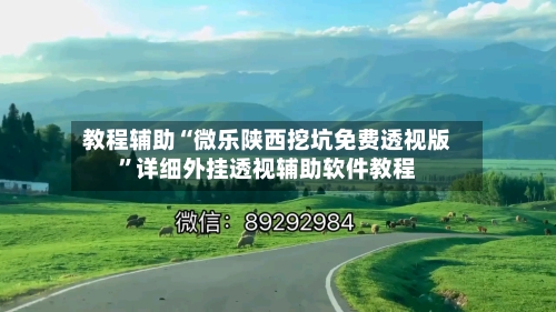 教程辅助“微乐陕西挖坑免费透视版”详细外挂透视辅助软件教程-第2张图片
