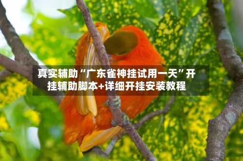 真实辅助“广东雀神挂试用一天	”开挂辅助脚本+详细开挂安装教程-第2张图片