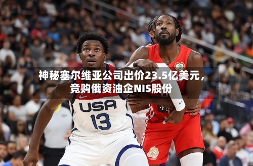 神秘塞尔维亚公司出价23.5亿美元，竞购俄资油企NIS股份-第2张图片