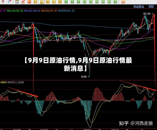 【9月9日原油行情,9月9日原油行情最新消息】-第2张图片