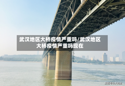武汉地区大桥疫情严重吗/武汉地区大桥疫情严重吗现在