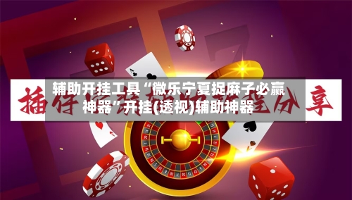 辅助开挂工具“微乐宁夏捉麻子必赢神器	”开挂(透视)辅助神器-第2张图片