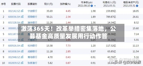 激荡365天！改革举措密集落地，公募基金高质量发展用行动作答-第2张图片