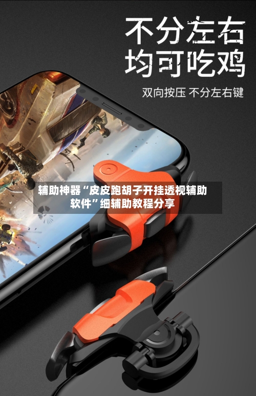 辅助神器“皮皮跑胡子开挂透视辅助软件”细辅助教程分享-第2张图片