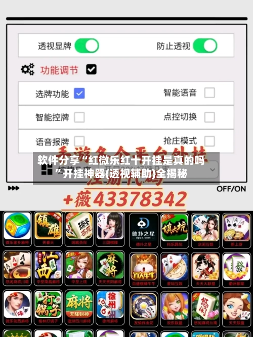 软件分享“红微乐红十开挂是真的吗	”开挂神器{透视辅助}全揭秘-第2张图片