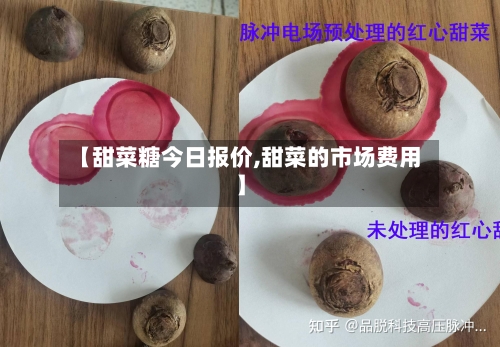 【甜菜糖今日报价,甜菜的市场费用】-第2张图片