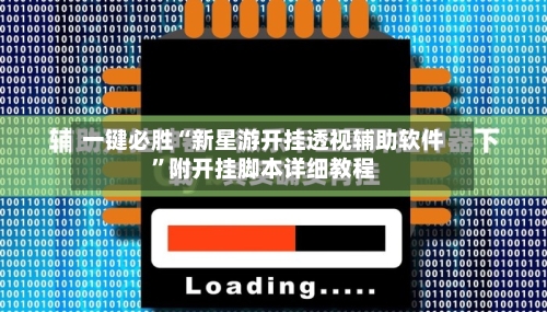 一键必胜“新星游开挂透视辅助软件	”附开挂脚本详细教程-第3张图片