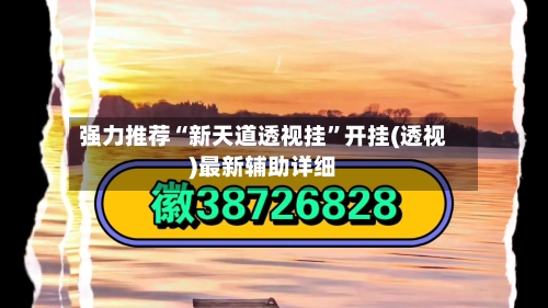 强力推荐“新天道透视挂”开挂(透视)最新辅助详细-第3张图片