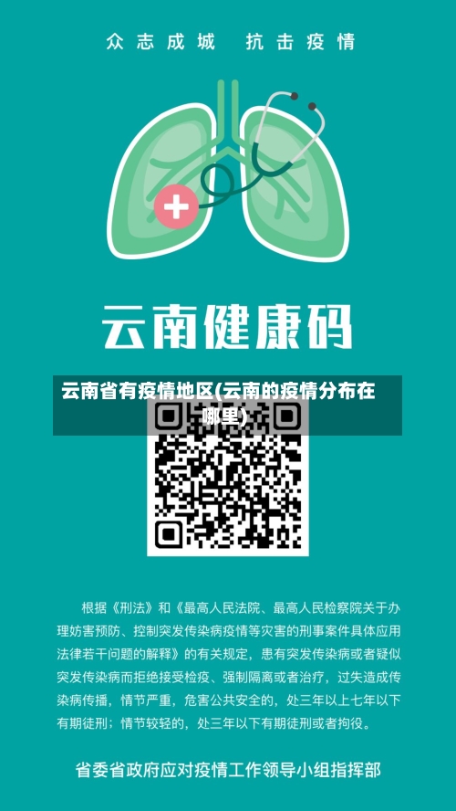 云南省有疫情地区(云南的疫情分布在哪里)