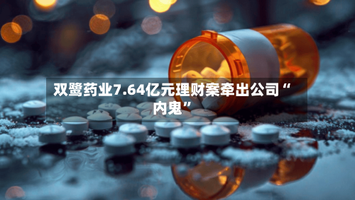 双鹭药业7.64亿元理财案牵出公司“内鬼”-第3张图片