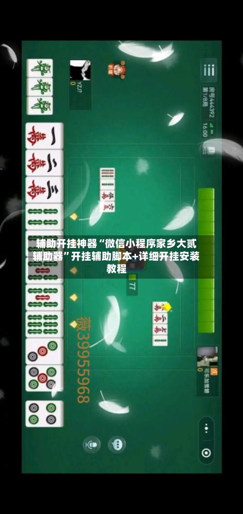 辅助开挂神器“微信小程序家乡大贰辅助器	”开挂辅助脚本+详细开挂安装教程-第2张图片