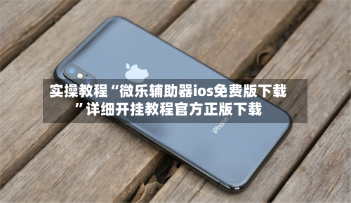 实操教程“微乐辅助器ios免费版下载”详细开挂教程官方正版下载