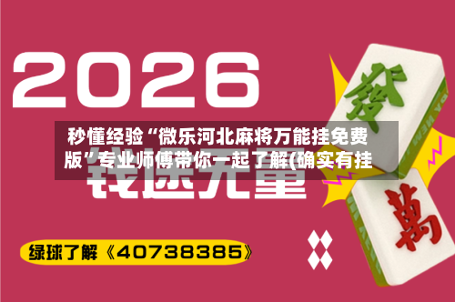 秒懂经验“微乐河北麻将万能挂免费版	”专业师傅带你一起了解(确实有挂-第2张图片