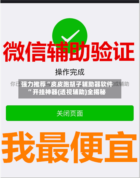 强力推荐“皮皮跑胡子辅助器软件”开挂神器{透视辅助}全揭秘-第3张图片
