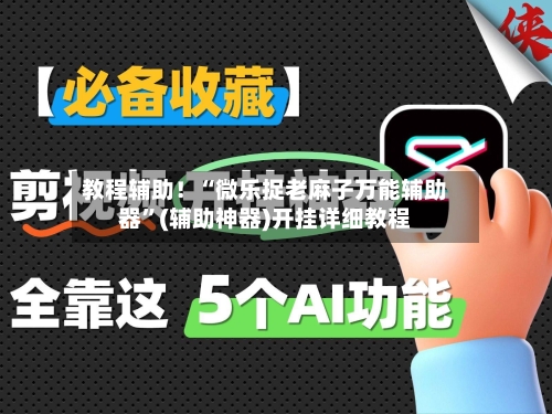 教程辅助！“微乐捉老麻子万能辅助器”(辅助神器)开挂详细教程