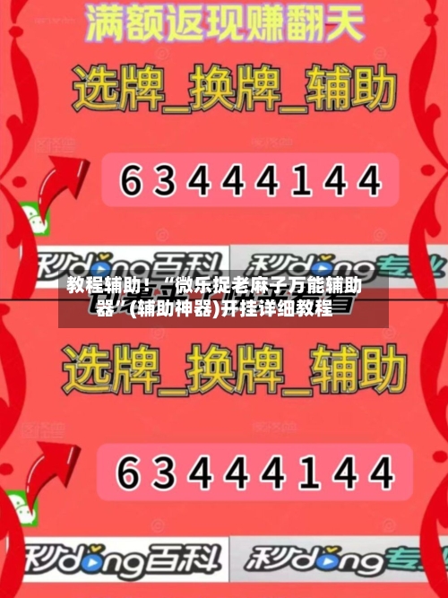 教程辅助！“微乐捉老麻子万能辅助器”(辅助神器)开挂详细教程-第2张图片