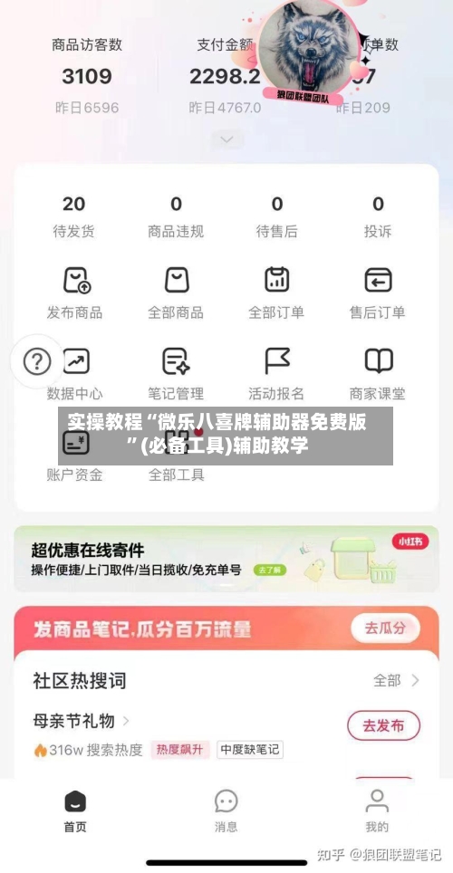 实操教程“微乐八喜牌辅助器免费版”(必备工具)辅助教学